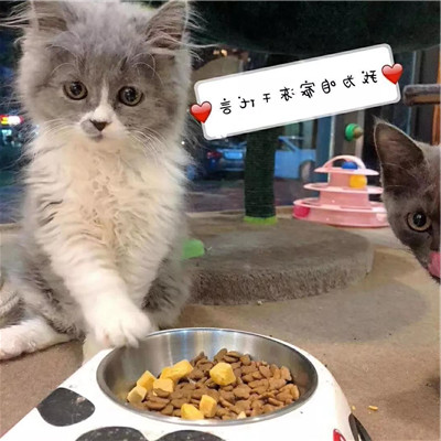 微信图片_20190909184516_副本.jpg