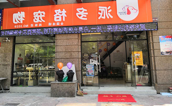 开宠物店加盟品牌的重要性