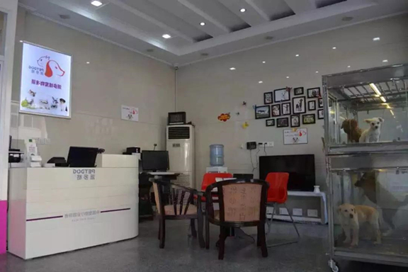 开宠物店成功后怎么宣传比较好