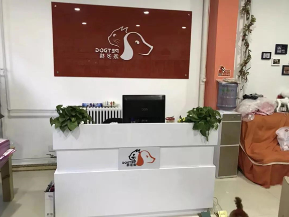开宠物店的利润分配