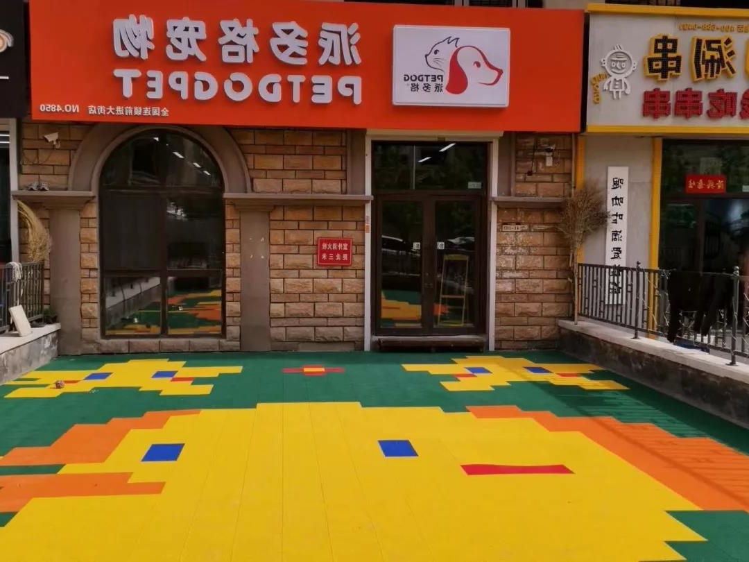 开宠物连锁店个人需要知道的专业知识