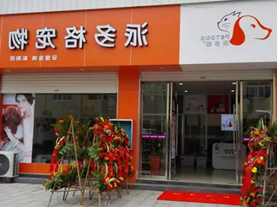 为何别人家的宠物店生意火爆，做好这几点