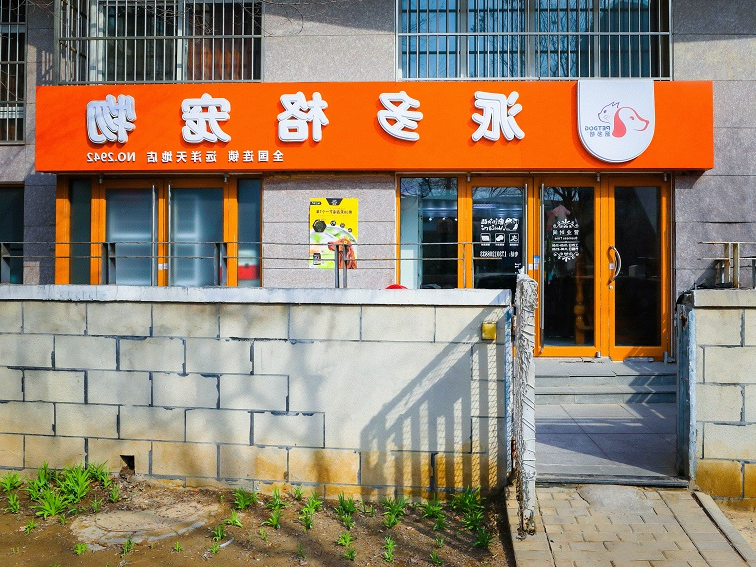 说说国内和国外养宠物的区别在哪里？
